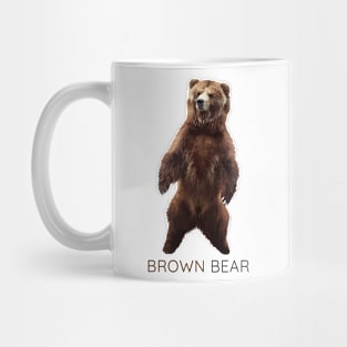 Brown Bear, Grizzly bear, Ursus arctos Mug